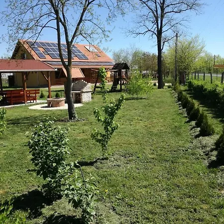 Kaptarlevegos Vendeghaz Gasthof Füzesgyarmat